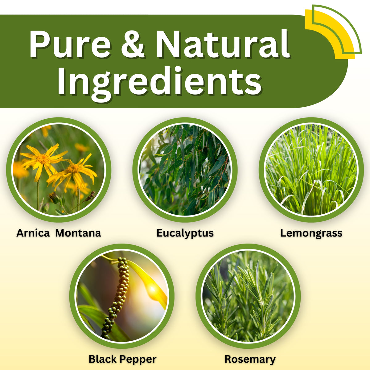 Relief Arnica Cream
