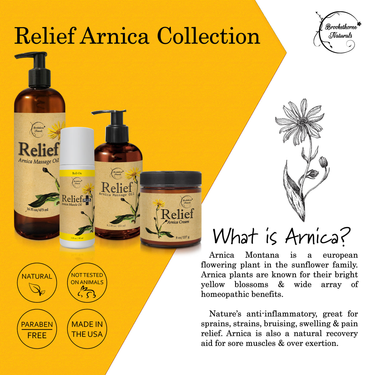 Relief Arnica Collection Infographic